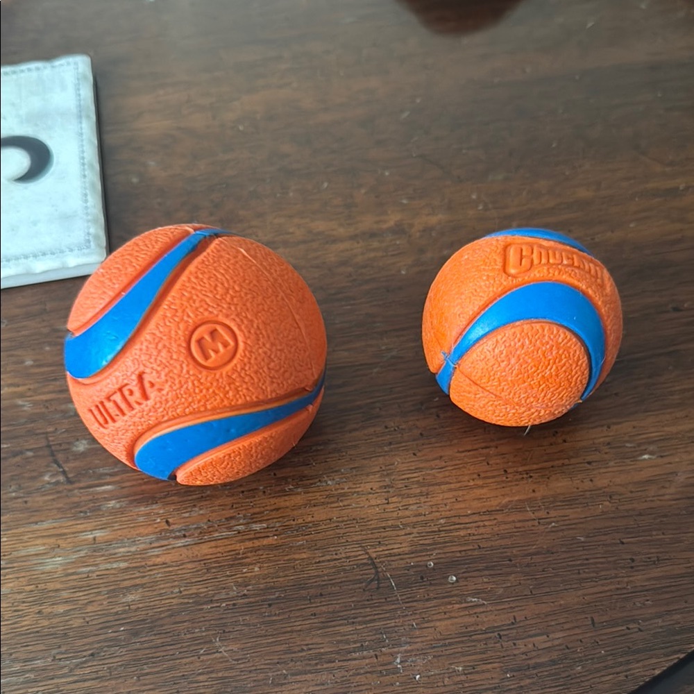 Orange and Blue Chuckit! Dog Balls